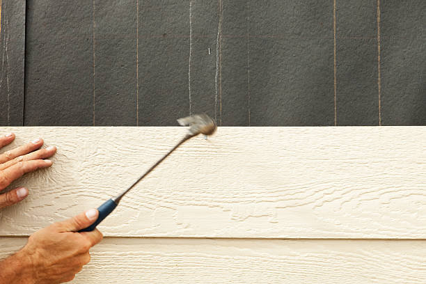 Best Wood Siding Installation  in , MN
