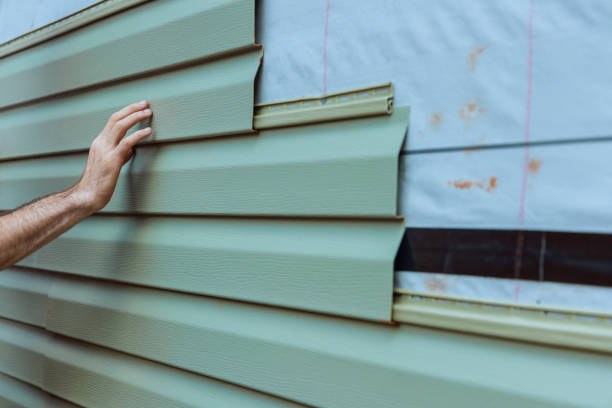 Best Historical Building Siding Restoration  in , MN